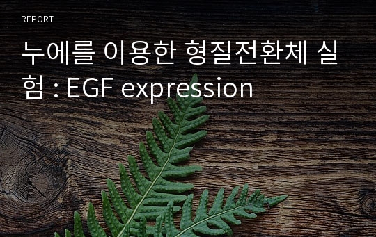 누에를 이용한 형질전환체 실험 : EGF expression