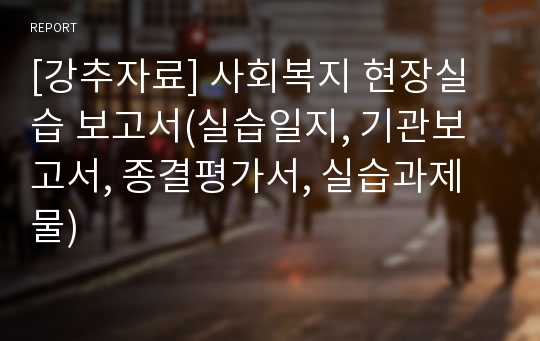 [강추자료] 사회복지 현장실습 보고서(실습일지, 기관보고서, 종결평가서, 실습과제물)