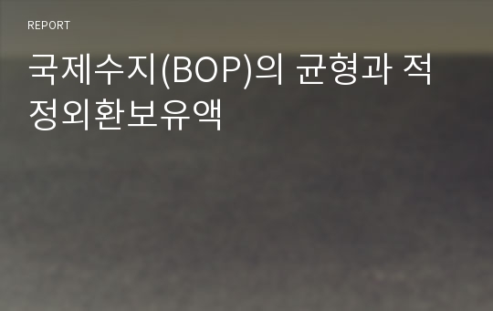 국제수지(BOP)의 균형과 적정외환보유액