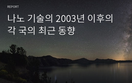 나노 기술의 2003년 이후의 각 국의 최근 동향