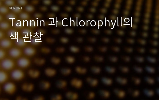 Tannin 과 Chlorophyll의 색 관찰