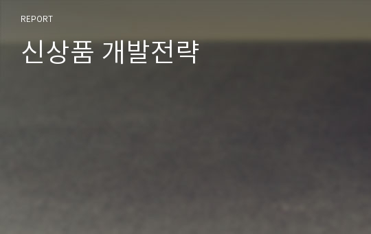 신상품 개발전략