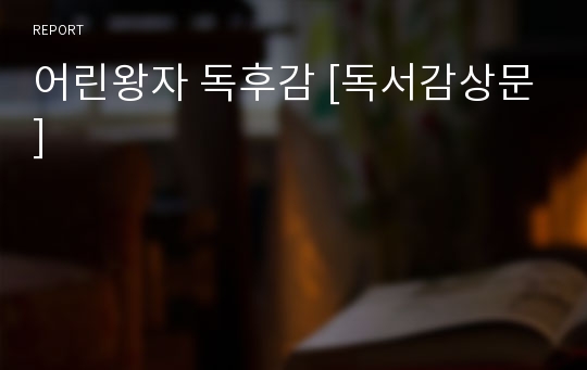 어린왕자 독후감 [독서감상문]