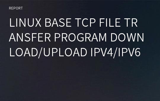 LINUX BASE TCP FILE TRANSFER PROGRAM DOWNLOAD/UPLOAD IPV4/IPV6