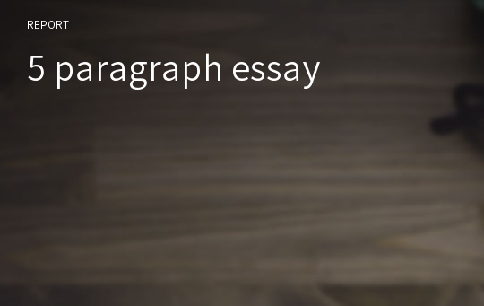 5 paragraph essay