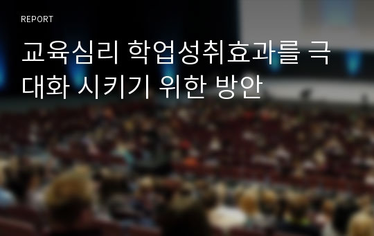 교육심리 학업성취효과를 극대화 시키기 위한 방안