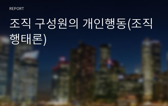 조직 구성원의 개인행동(조직행태론)