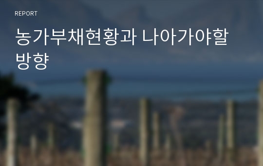 농가부채현황과 나아가야할 방향