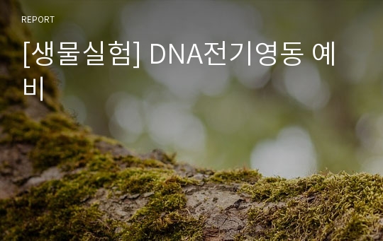 [생물실험] DNA전기영동 예비