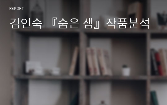 김인숙 『숨은 샘』작품분석