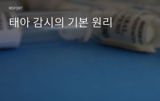 태아 감시의 기본 원리