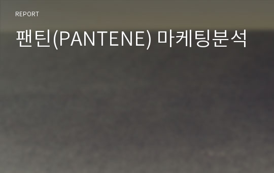 팬틴(PANTENE) 마케팅분석