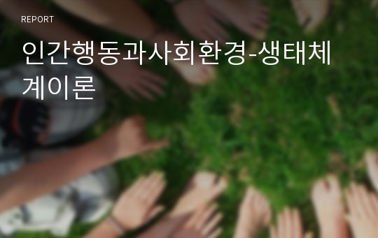 인간행동과사회환경-생태체계이론