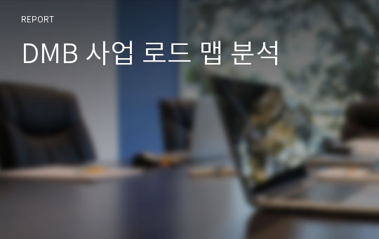 DMB 사업 로드 맵 분석