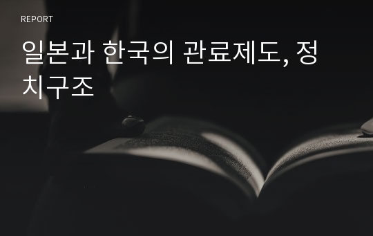 일본과 한국의 관료제도, 정치구조