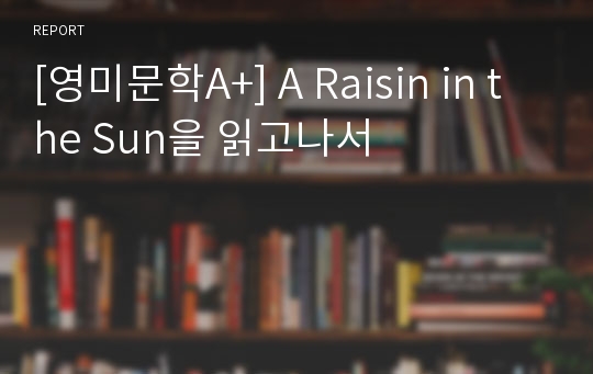 [영미문학A+] A Raisin in the Sun을 읽고나서