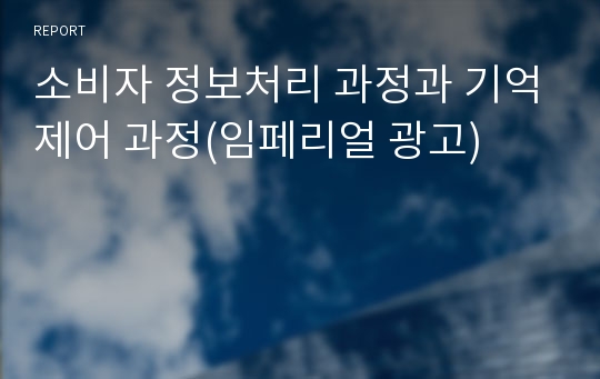 소비자 정보처리 과정과 기억제어 과정(임페리얼 광고)