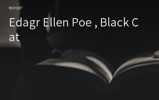 Edagr Ellen Poe , Black Cat