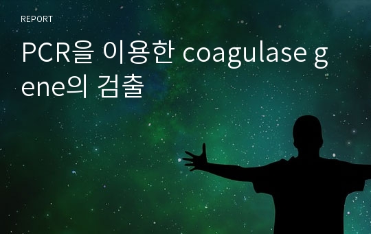 PCR을 이용한 coagulase gene의 검출