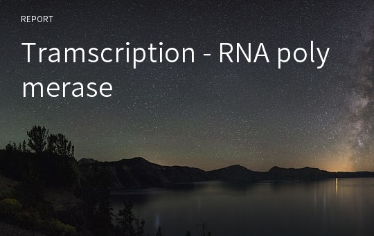 Tramscription - RNA polymerase