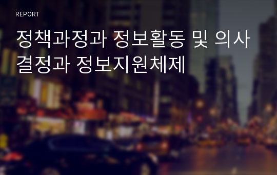 정책과정과 정보활동 및 의사결정과 정보지원체제