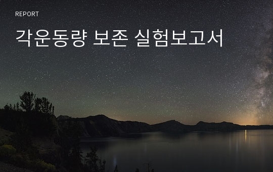 각운동량 보존 실험보고서