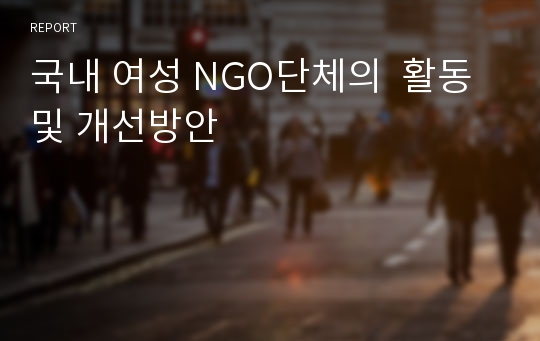 국내 여성 NGO단체의  활동 및 개선방안