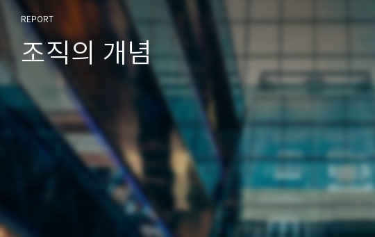 조직의 개념