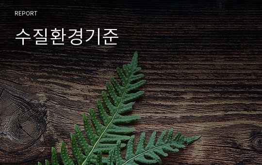 수질환경기준