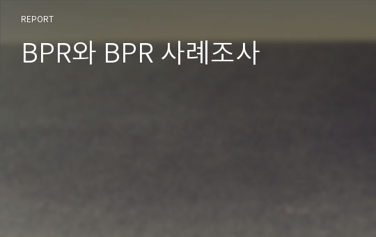 BPR와 BPR 사례조사