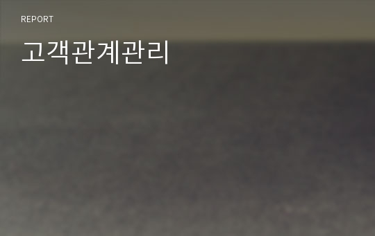 고객관계관리