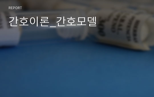 간호이론_간호모델