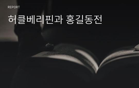 허클베리핀과 홍길동전