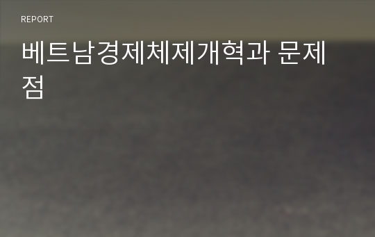 베트남경제체제개혁과 문제점