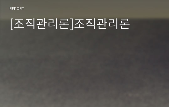 [조직관리론]조직관리론