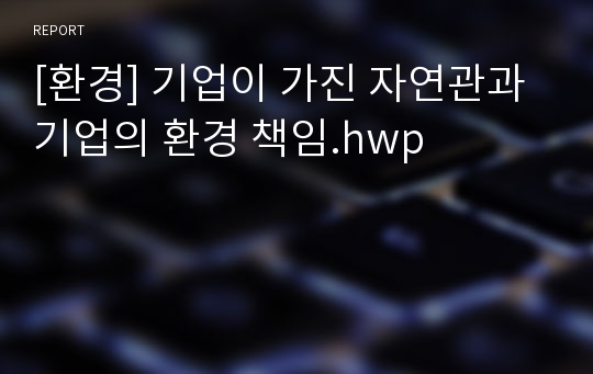 [환경] 기업이 가진 자연관과 기업의 환경 책임.hwp