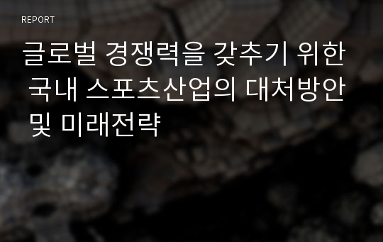 글로벌 경쟁력을 갖추기 위한 국내 스포츠산업의 대처방안 및 미래전략