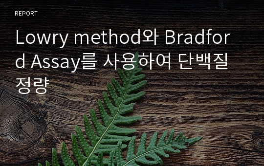 Lowry method와 Bradford Assay를 사용하여 단백질 정량