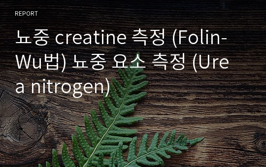 뇨중 creatine 측정 (Folin-Wu법) 뇨중 요소 측정 (Urea nitrogen)