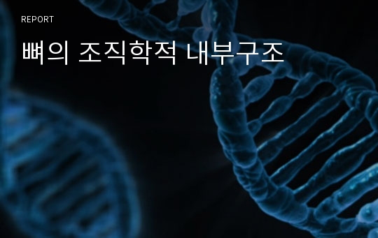 뼈의 조직학적 내부구조