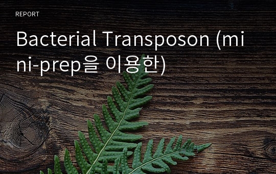 Bacterial Transposon (mini-prep을 이용한)