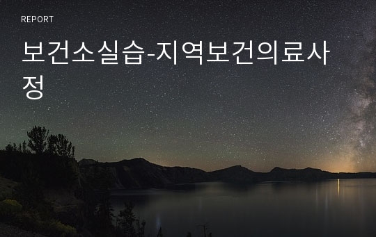 보건소실습-지역보건의료사정