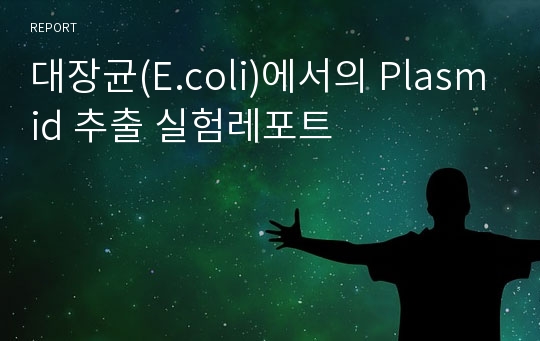 대장균(E.coli)에서의 Plasmid 추출 실험레포트