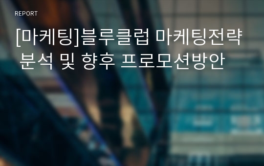 [마케팅]블루클럽 마케팅전략 분석 및 향후 프로모션방안