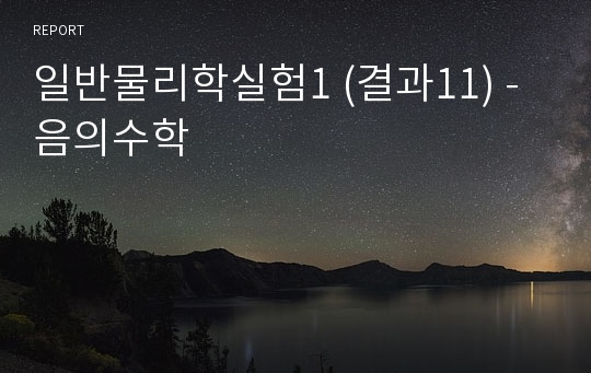 일반물리학실험1 (결과11) - 음의수학