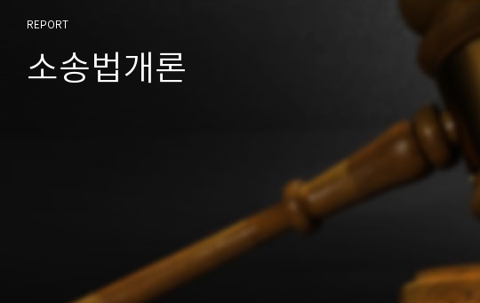 소송법개론