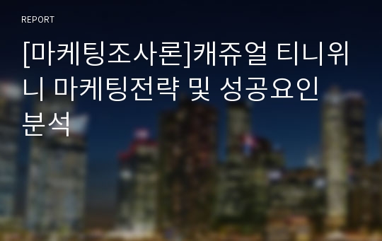 [마케팅조사론]캐쥬얼 티니위니 마케팅전략 및 성공요인 분석