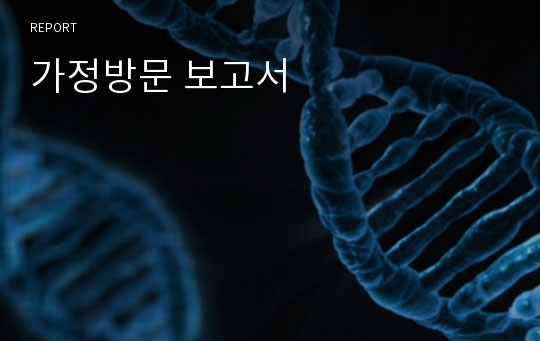 가정방문 보고서