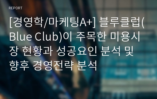 [경영학/마케팅A+] 블루클럽(Blue Club)이 주목한 미용시장 현황과 성공요인 분석 및 향후 경영전략 분석