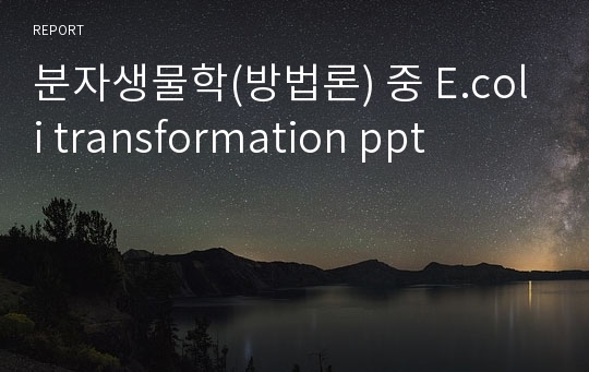 분자생물학(방법론) 중 E.coli transformation ppt